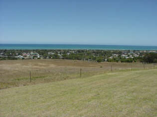 View From the Library